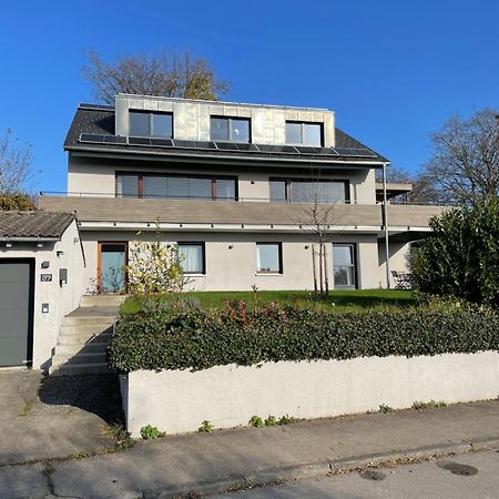 Ferienwohnung Am Kohlenberg Waldburg Exterior foto